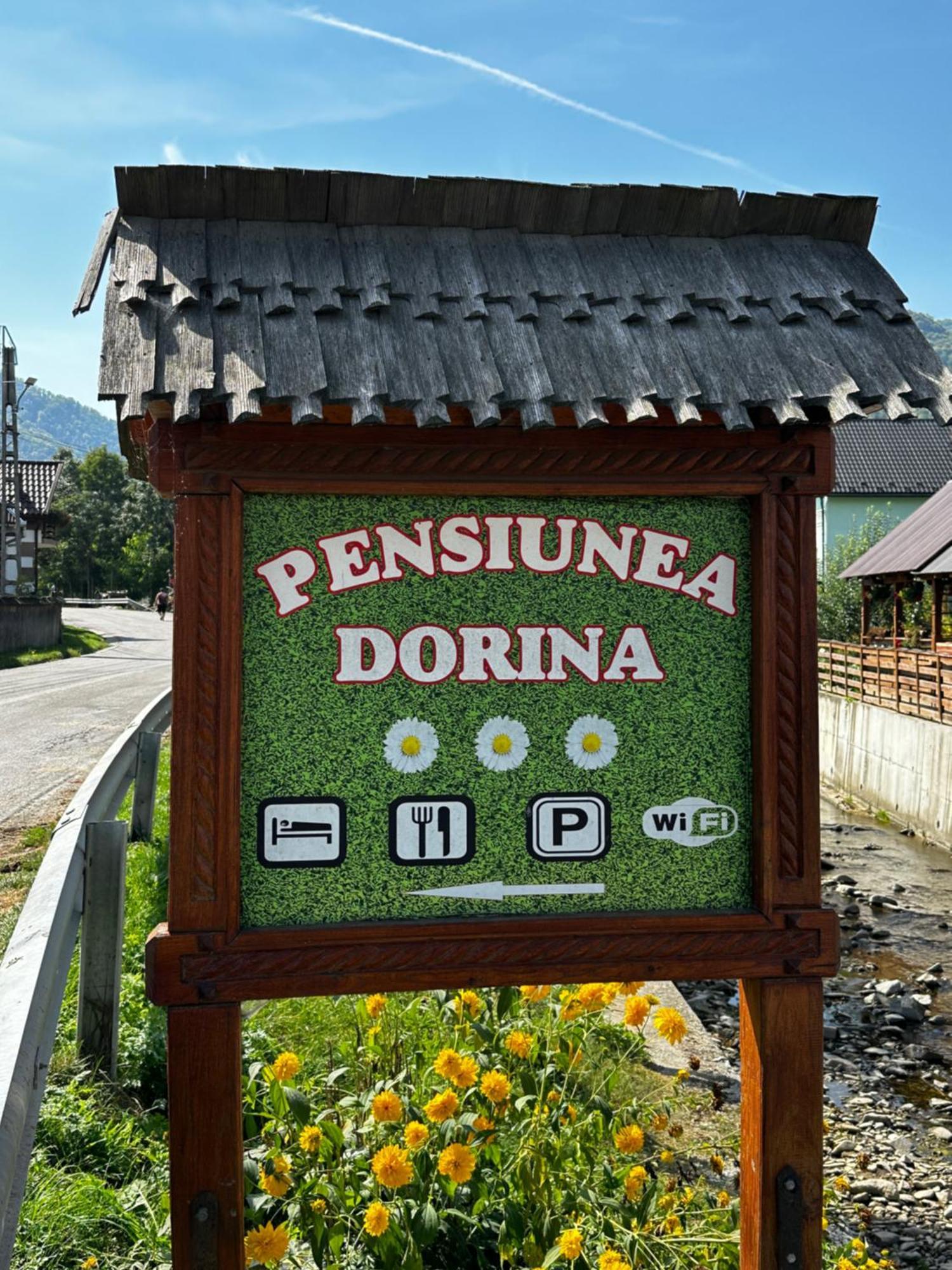Pensiunea Dorina Botiza Екстериор снимка